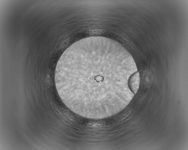 X0000064040655200602171645