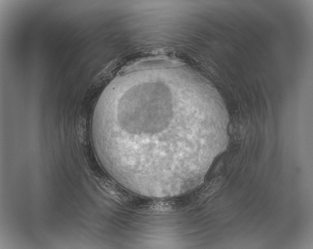 X0000064040656200602171645