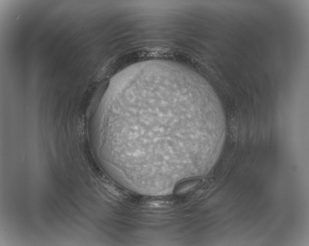 X0000064040657200602171645