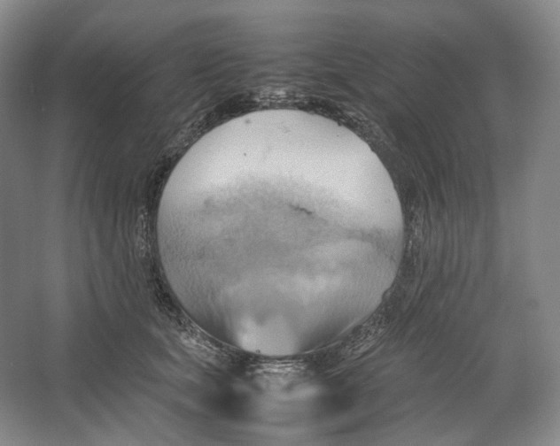 X0000064040659200602171645