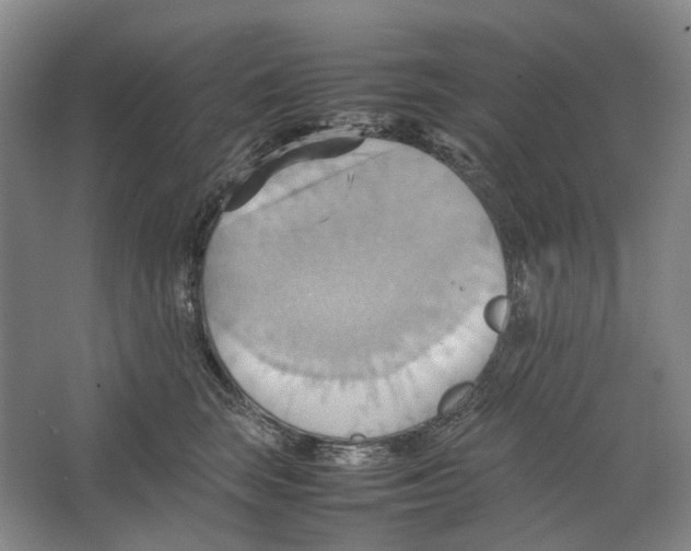 X0000064040663200602171645