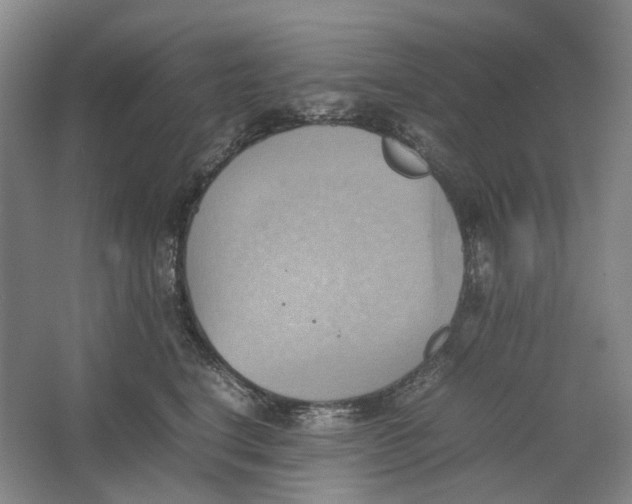 X0000064040664200602171646