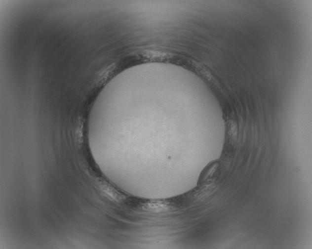 X0000064040668200602171646