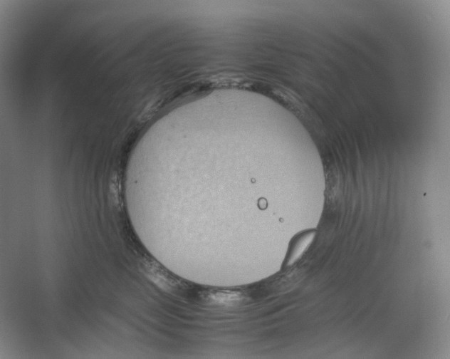 X0000064040669200602171646