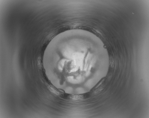 X0000064040670200602171646