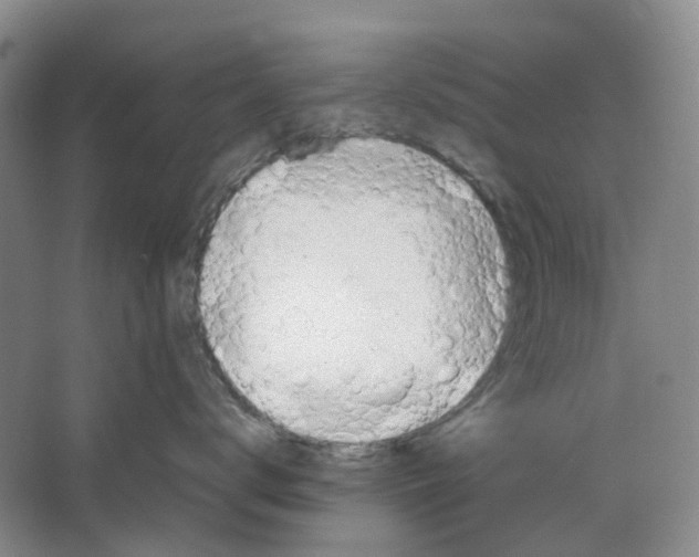 X0000064040672200602171646