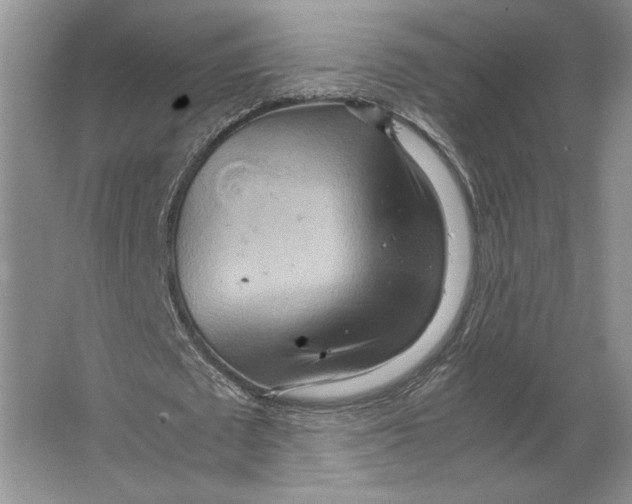 X0000064040673200602171645