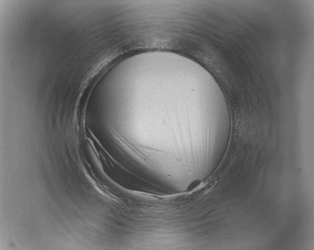 X0000064040674200602171645