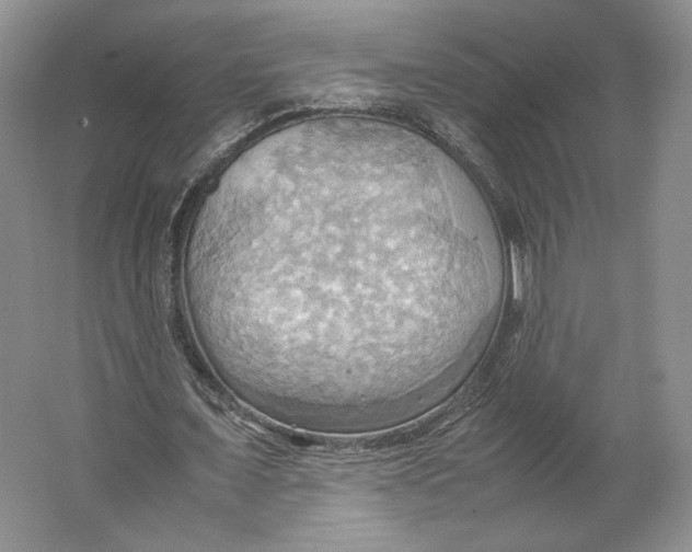 X0000064040675200602171645