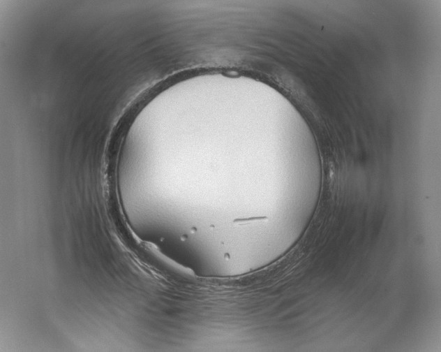 X0000064040676200602171645