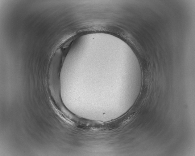 X0000064040677200602171645