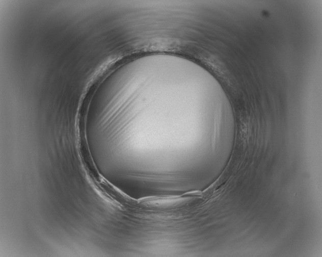 X0000064040678200602171645