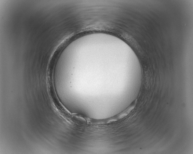 X0000064040680200602171645