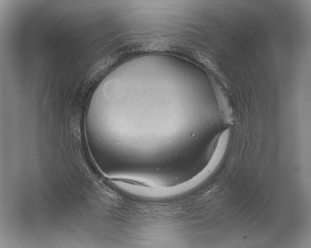 X0000064040681200602171645