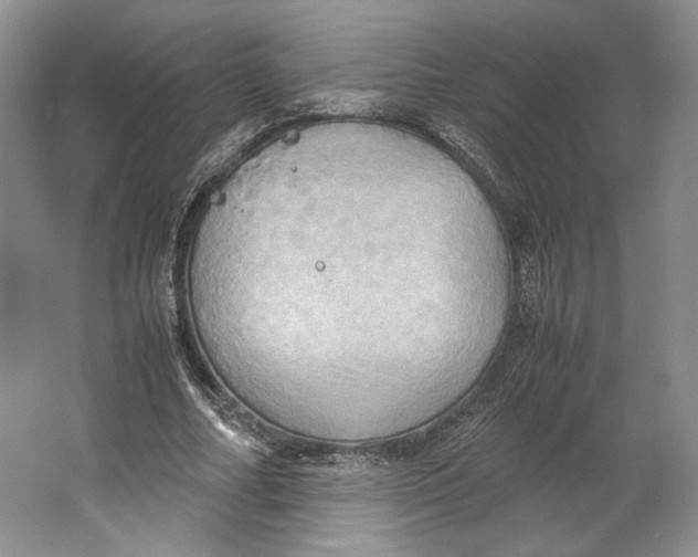 X0000064040682200602171645