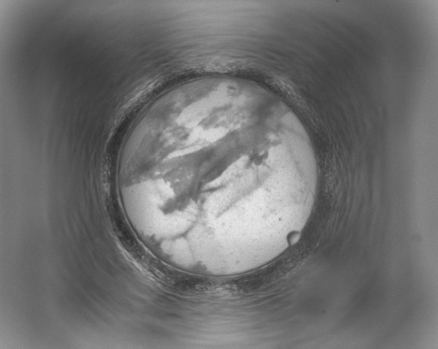 X0000064040683200602171645