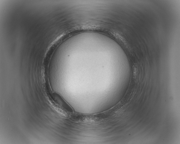 X0000064040684200602171645