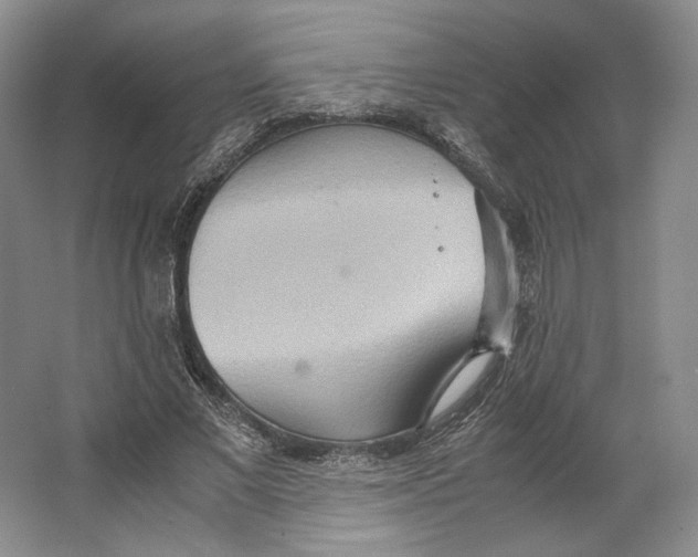 X0000064040685200602171645