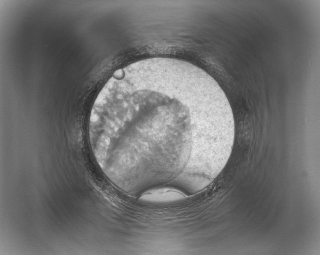 X0000064040687200602171645