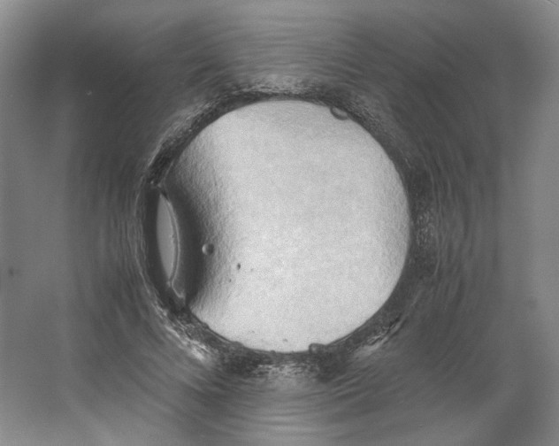 X0000064040688200602171645