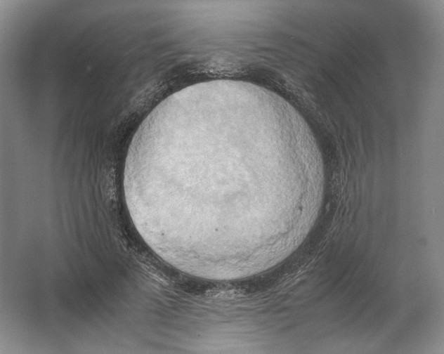 X0000064040689200602171645