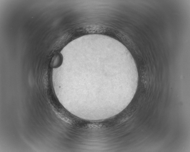 X0000064040690200602171645