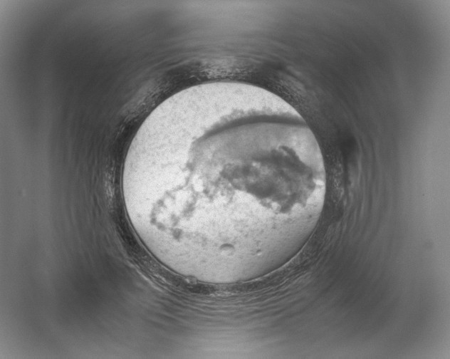 X0000064040691200602171645