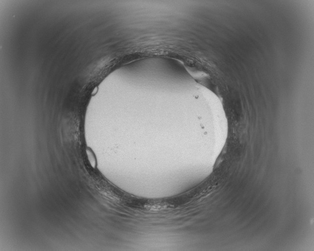 X0000064040693200602171644