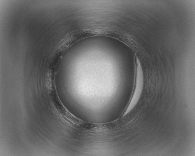 X0000064040696200602171644