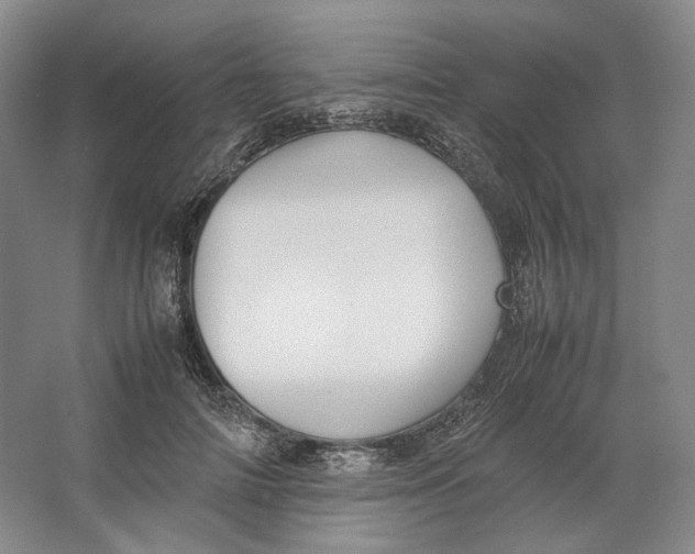 X0000064040698200602171644