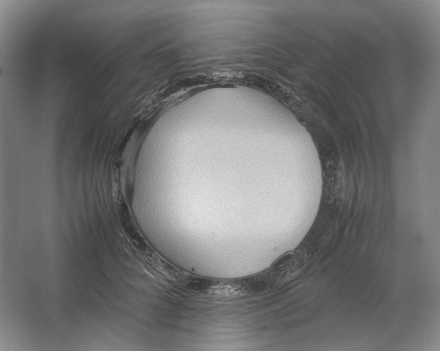 X0000064040704200602171644