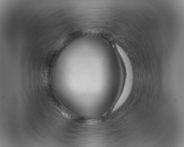 X0000064040708200602171644