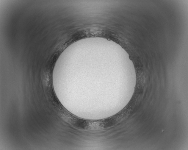 X0000064040709200602171644