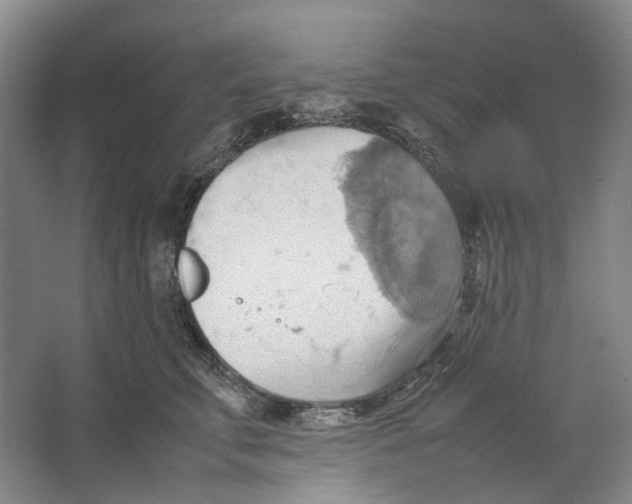 X0000064040711200602171644