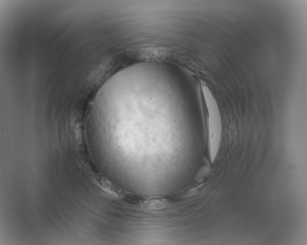 X0000064040716200602171644