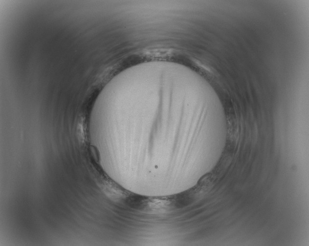 X0000064040718200602171644