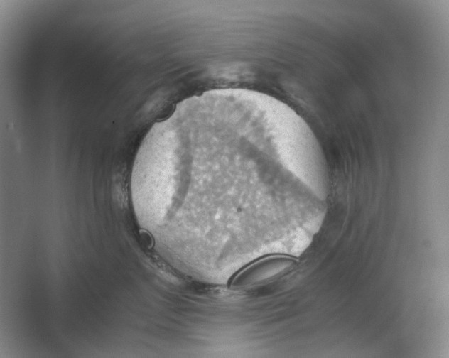 X0000064040719200602171644