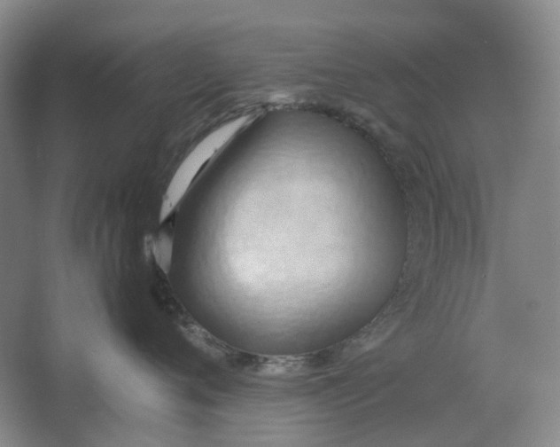 X0000064040720200602171644