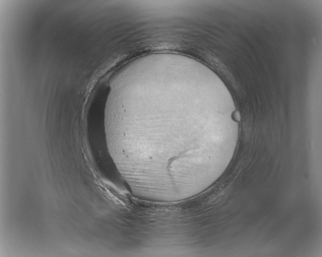 X0000064040721200602171643