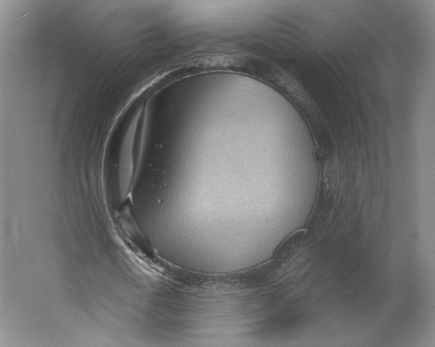 X0000064040722200602171643