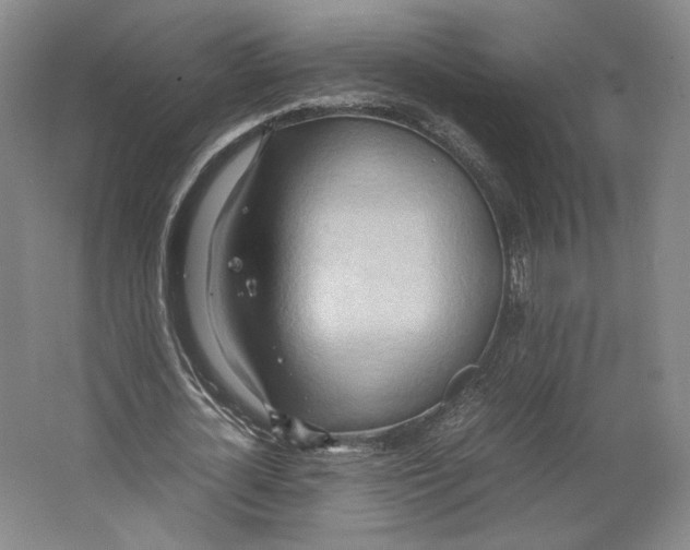 X0000064040724200602171643