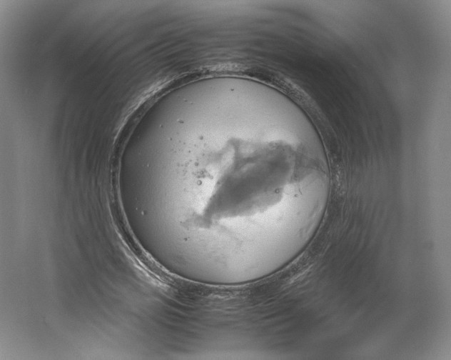 X0000064040725200602171643