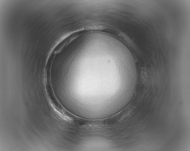 X0000064040726200602171643