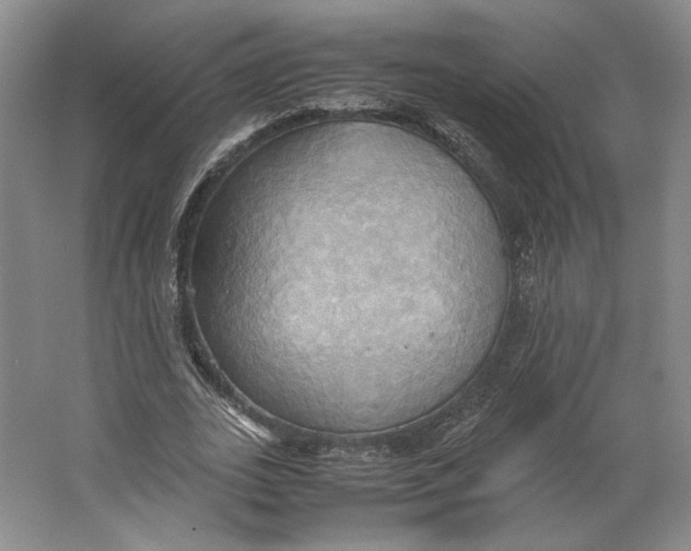 X0000064040727200602171643