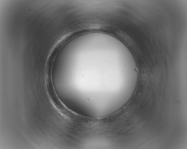 X0000064040728200602171643