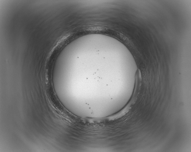 X0000064040731200602171643