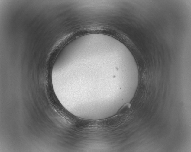 X0000064040732200602171643