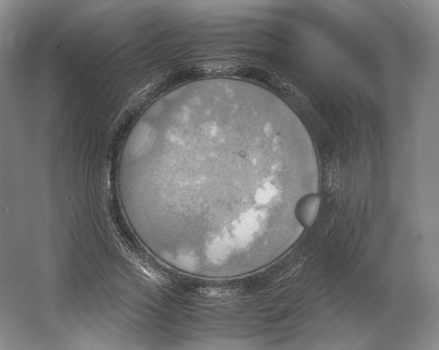 X0000064040733200602171643