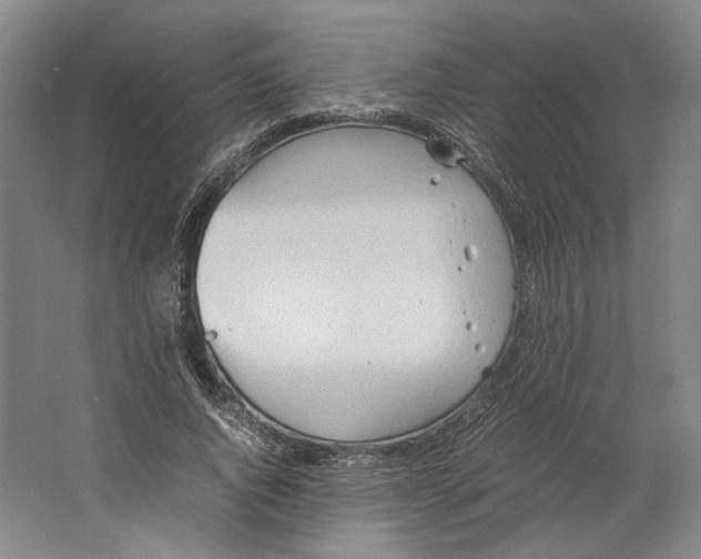 X0000064040736200602171643