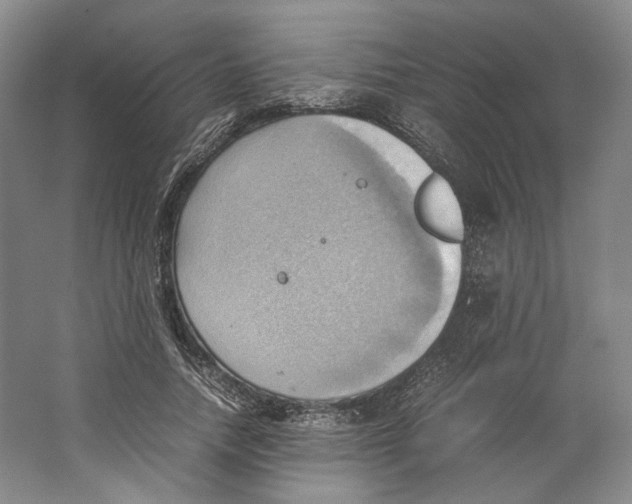 X0000064040738200602171644